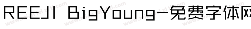 REEJI BigYoung字体转换